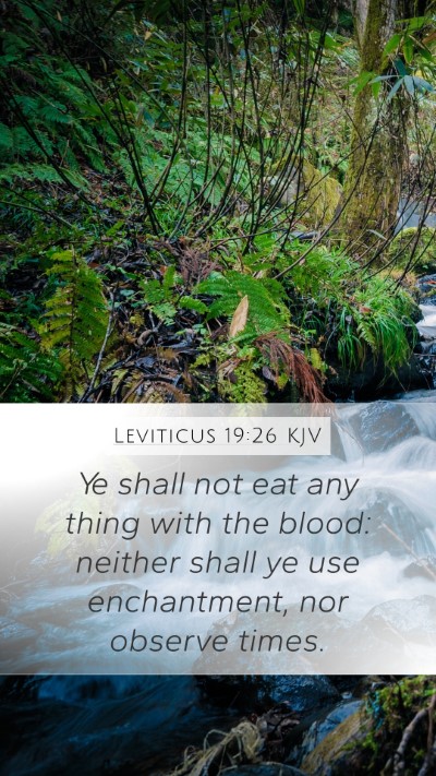 Leviticus 19:26 KJV Bible Verse Image