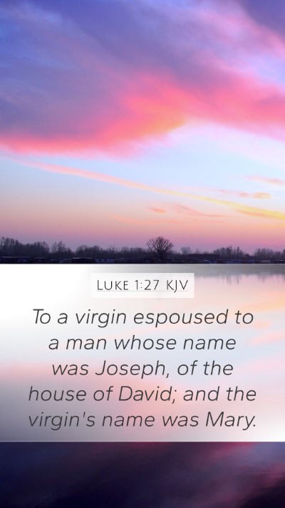 Luke 1:27 KJV Bible Verse Image