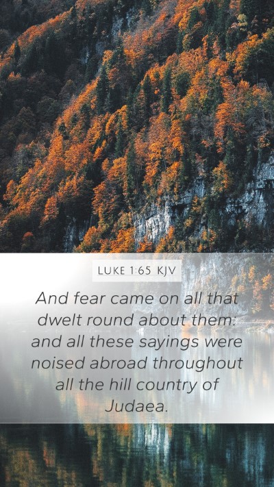 Luke 1:65 KJV Bible Verse Image