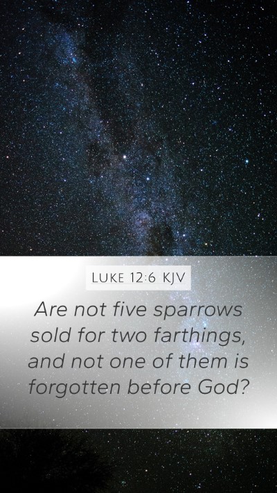 Luke 12:6 KJV Mobile Phone Wallpaper - Are not five sparrows sold for two farthings, and - Mobile Bible Verse Wallpaper