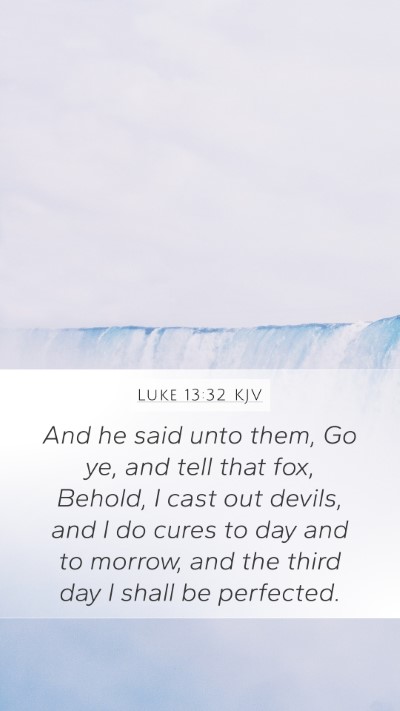 Luke 13:32 KJV Bible Verse Image