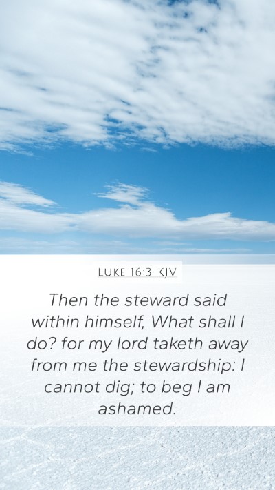 Luke 16:3 KJV Bible Verse Image