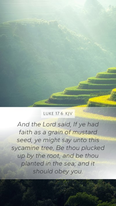 Luke 17:6 KJV Bible Verse Image