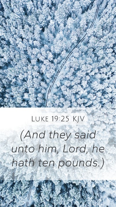 Luke 19:25 KJV Bible Verse Image