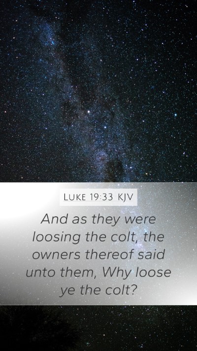 Luke 19:33 KJV Mobile Phone Wallpaper - And as they were loosing the colt, the owners - Mobile Bible Verse Wallpaper