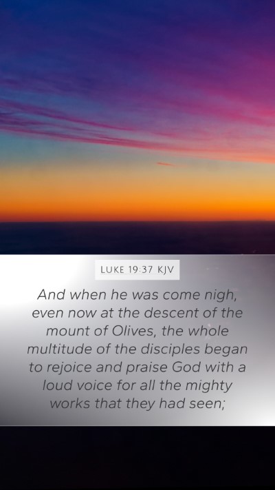 Luke 19:37 KJV Bible Verse Image