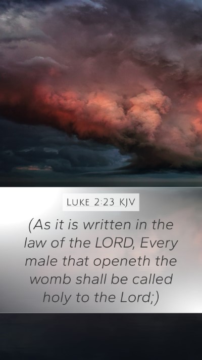 Luke 2:23 KJV Bible Verse Image