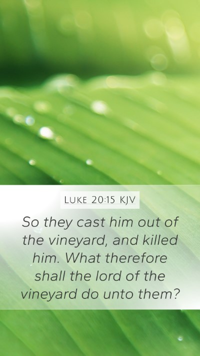 Luke 20:15 KJV Bible Verse Image