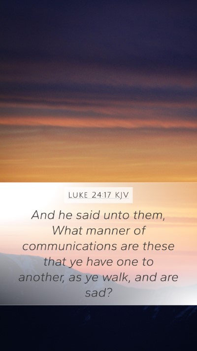 Luke 24:17 KJV Bible Verse Image