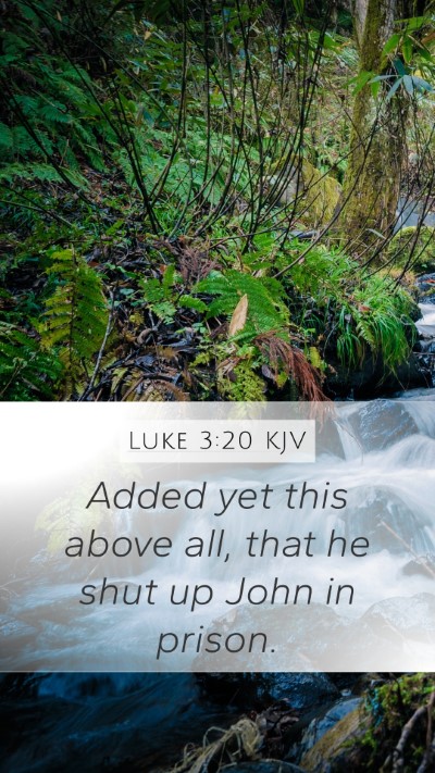 Luke 3:20 KJV Bible Verse Image