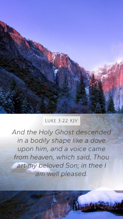 Luke 3:22 KJV Bible Verse Image