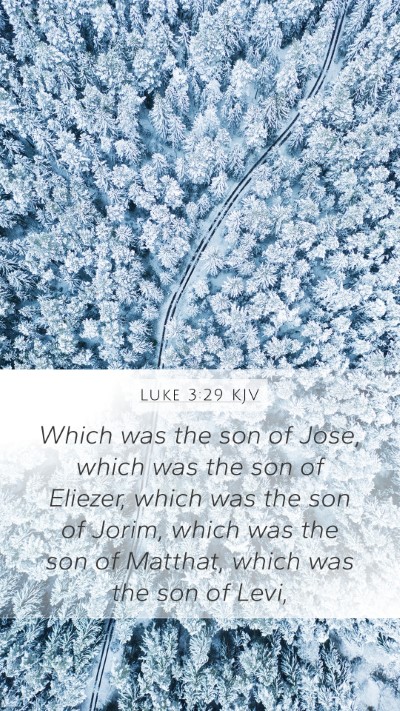 Luke 3:29 KJV Mobile Phone Wallpaper - Which was the son of Jose, which was the son of - Mobile Bible Verse Wallpaper
