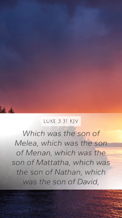 Luke 3:31 KJV Bible Verse Image