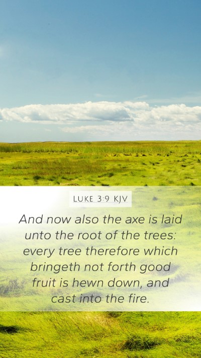 Luke 3:9 KJV Bible Verse Image