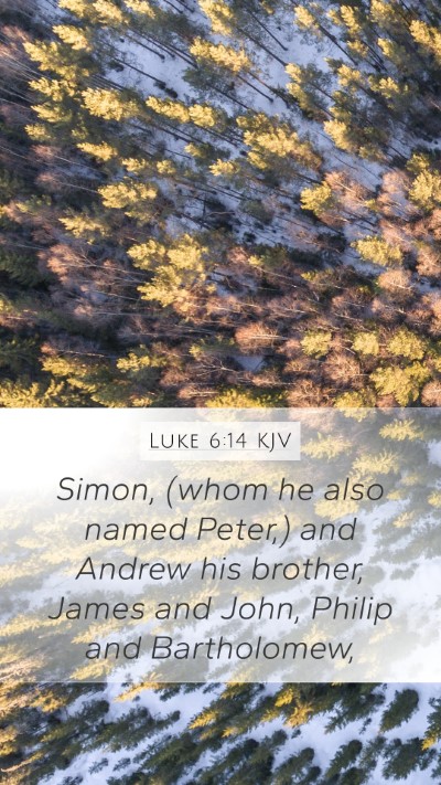 Luke 6:14 KJV Bible Verse Image