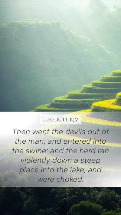 Luke 8:33 KJV Bible Verse Image