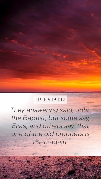 Luke 9:19 KJV Bible Verse Image