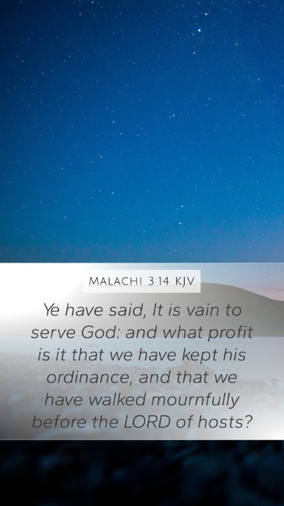 Malachi 3:14 KJV Bible Verse Image