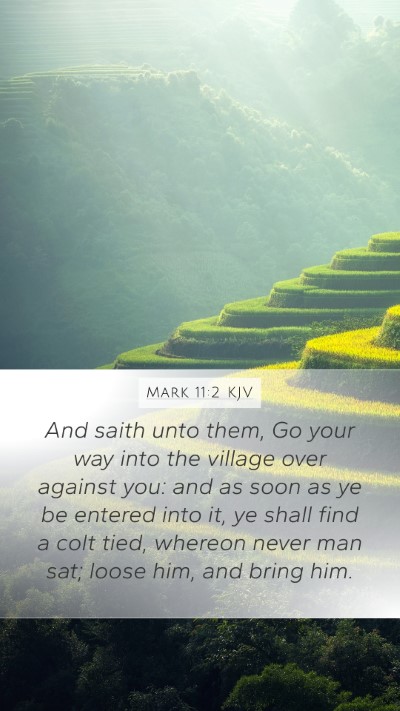 Mark 11:2 KJV Bible Verse Image