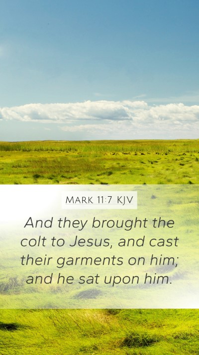 Mark 11:7 KJV Bible Verse Image