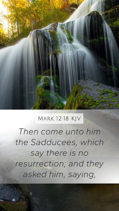 Mark 12:18 KJV Bible Verse Image