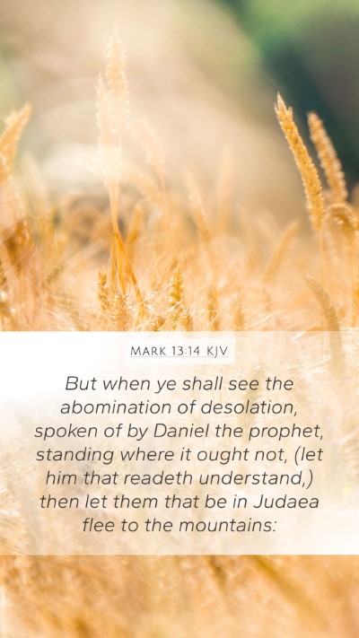 Mark 13:14 KJV Bible Verse Image