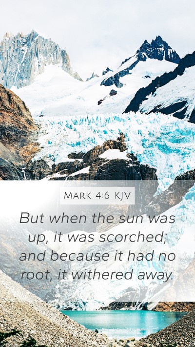 Mark 4:6 KJV Bible Verse Image