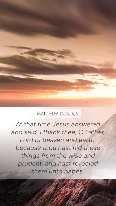 Matthew 11:25 KJV Bible Verse Image