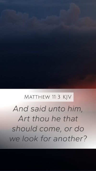 Matthew 11:3 KJV Bible Verse Image