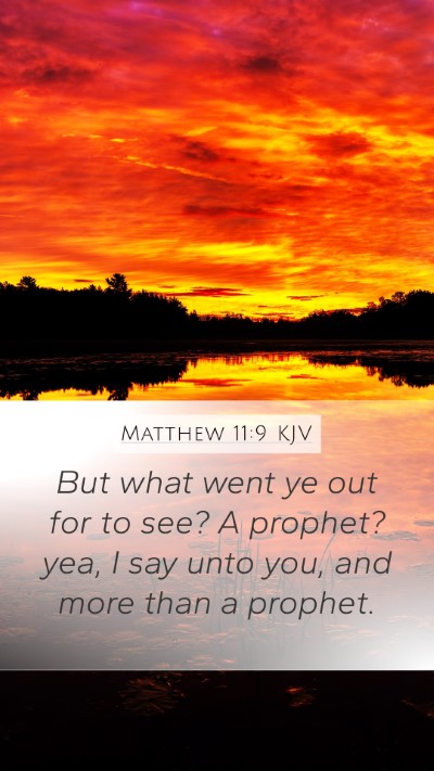 Matthew 11:9 KJV Bible Verse Image