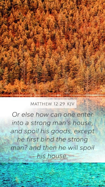 Matthew 12:29 KJV Bible Verse Image