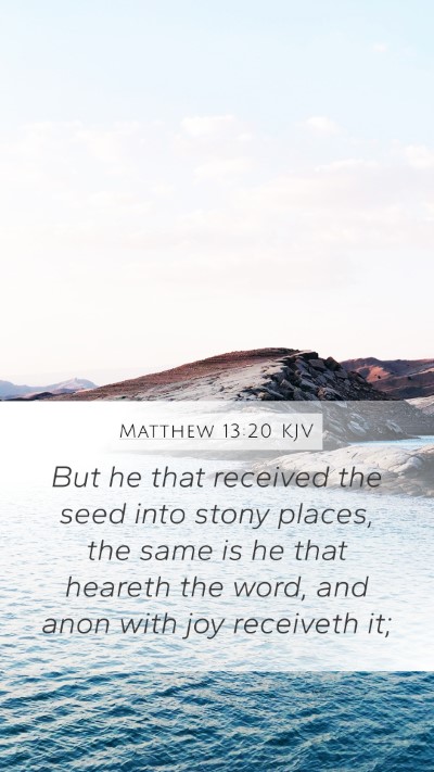 Matthew 13:20 KJV Bible Verse Image