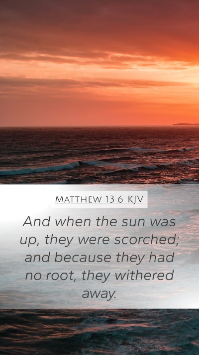 Matthew 13:6 KJV Bible Verse Image