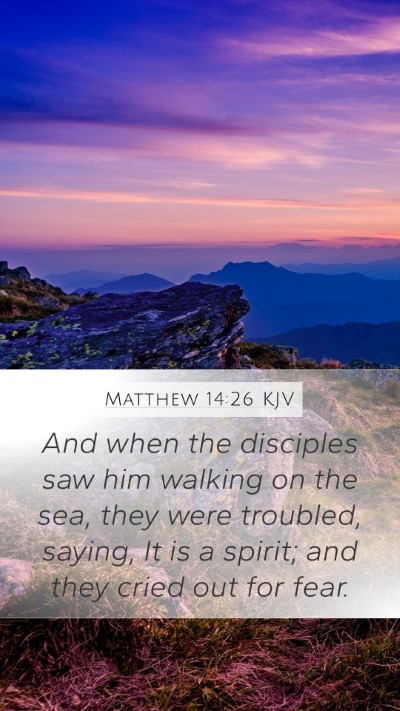 Matthew 14:26 KJV Bible Verse Image