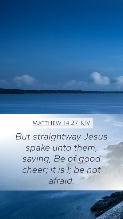 Matthew 14:27 KJV Bible Verse Image