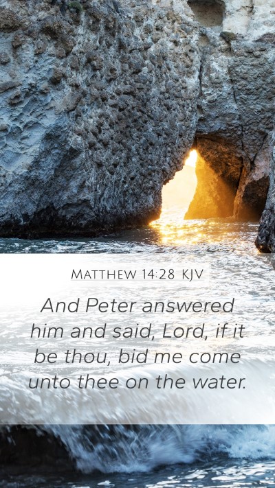 Matthew 14:28 KJV Bible Verse Image