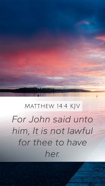 Matthew 14:4 KJV Bible Verse Image