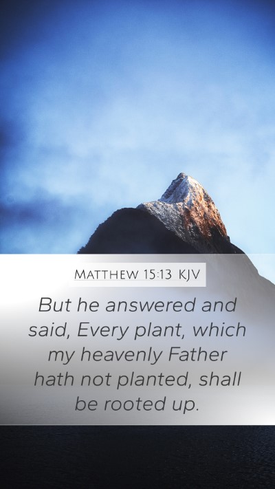 Matthew 15:13 KJV Bible Verse Image