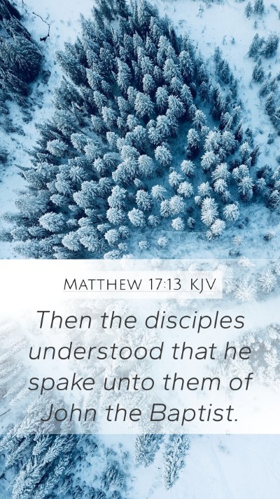Matthew 17:13 KJV Mobile Phone Wallpaper - Then the disciples understood that he spake unto - Mobile Bible Verse Wallpaper