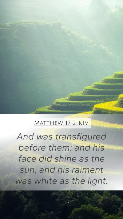 Matthew 17:2 KJV Bible Verse Image