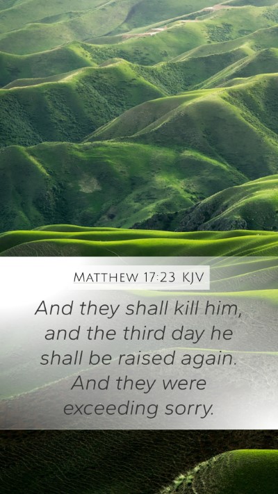 Matthew 17:23 KJV Bible Verse Image