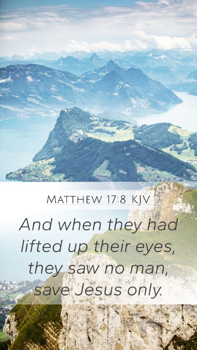 Matthew 17:8 KJV Bible Verse Image