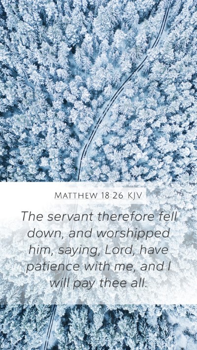 Matthew 18:26 KJV Bible Verse Image