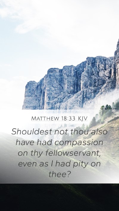 Matthew 18:33 KJV Bible Verse Image