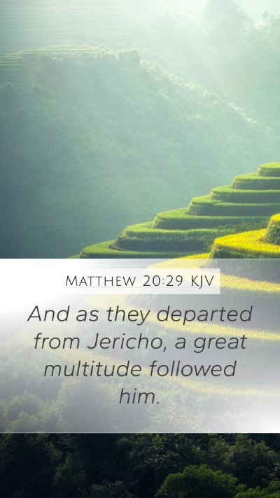 Matthew 20:29 KJV Bible Verse Image