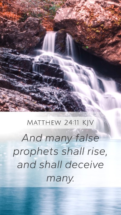Matthew 24:11 KJV Bible Verse Image