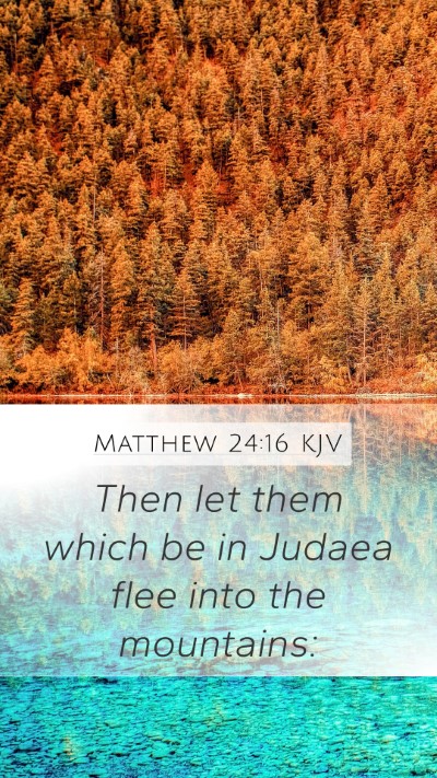 Matthew 24:16 KJV Bible Verse Image