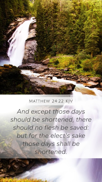 Matthew 24:22 KJV Bible Verse Image