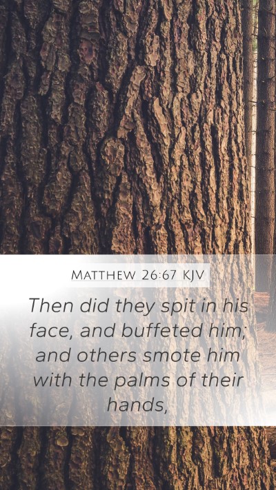 Matthew 26:67 KJV Bible Verse Image