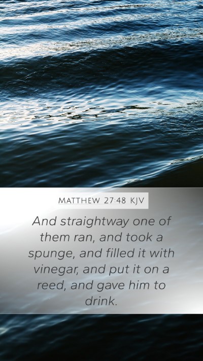 Matthew 27:48 KJV Bible Verse Image